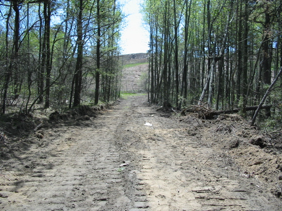 Bulldozed