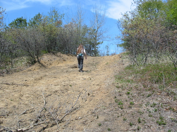 Bulldozed sand dune
