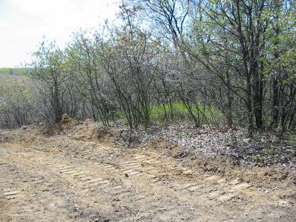 Bulldozer tracks