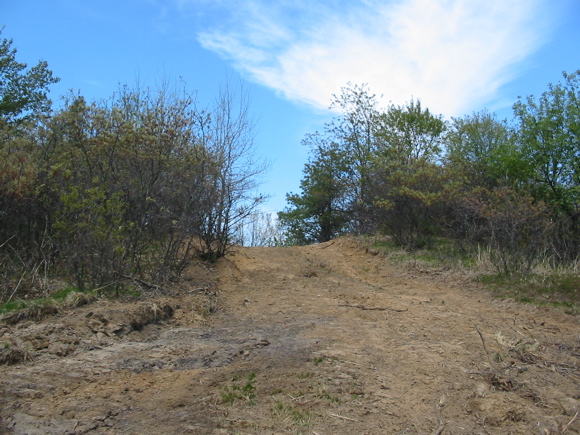 Bulldozed