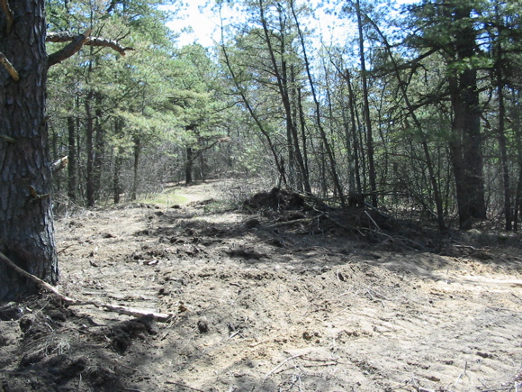 Bulldozed