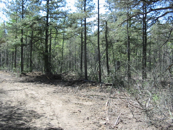 Bulldozed