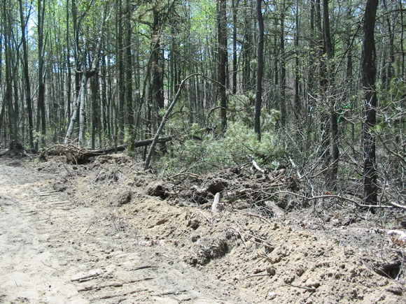 Note bulldozer tracks