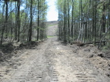 Bulldozed