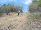 Bulldozed sand dune
