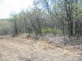 Bulldozer tracks