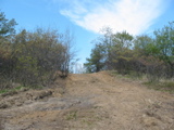 Bulldozed
