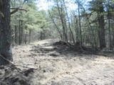 Bulldozed