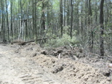 Note bulldozer tracks
