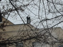 Snipers