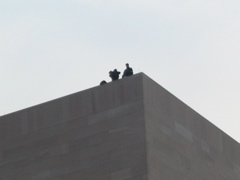 Snipers