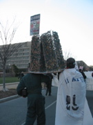 IMG_5251.JPG