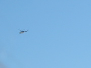 IMG_5075.JPG