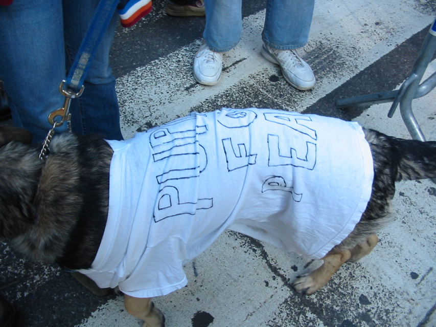 Puppies for Peace