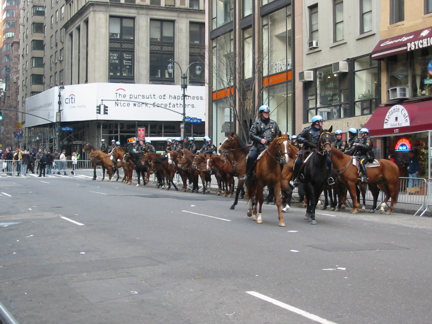 Cops on Horses