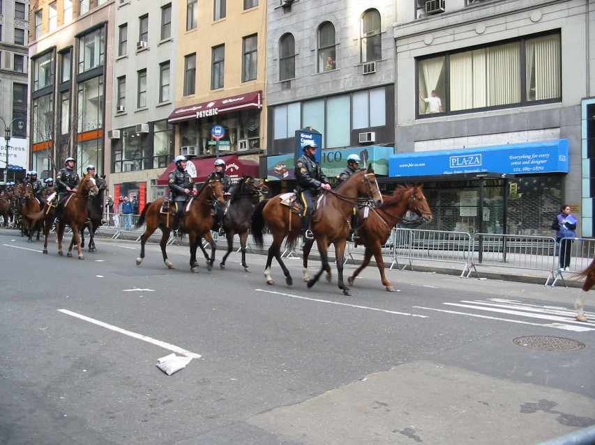 Cops on Horses