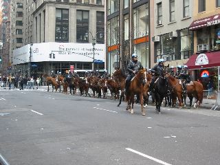 Cops on Horses
