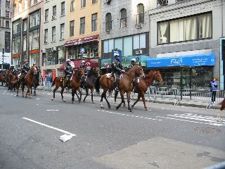 Cops on Horses