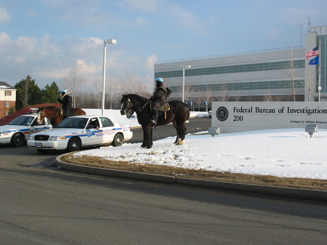Cops&Horses.JPG