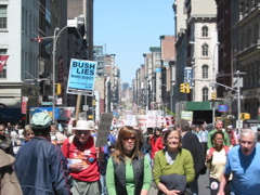 IMG_4686.JPG