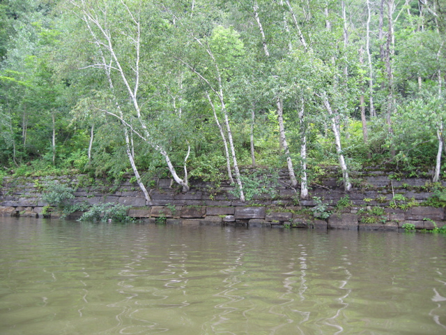 IMG_2320.JPG