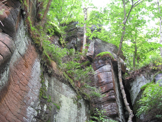 IMG_2356.JPG