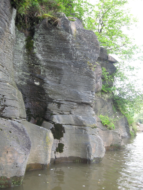 IMG_2364.JPG