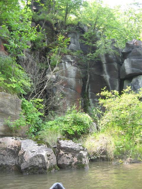 IMG_2371.JPG