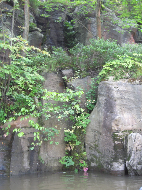 IMG_2372.JPG