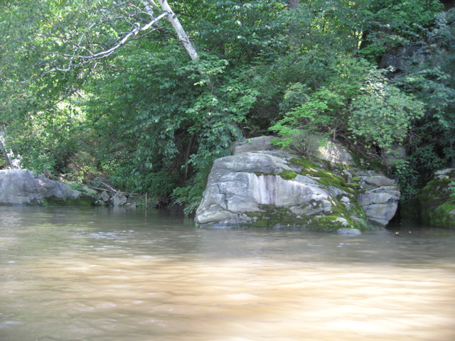 IMG_2400.JPG