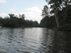 IMG_2307.JPG