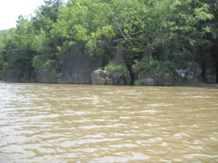 IMG_2409.JPG
