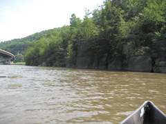 IMG_2410.JPG