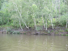 IMG_2320.JPG