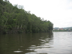 IMG_2323.JPG