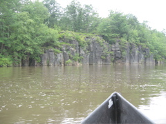 IMG_2345.JPG