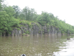 IMG_2346.JPG