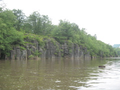 IMG_2347.JPG
