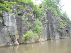 IMG_2348.JPG