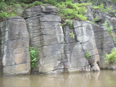 IMG_2349.JPG