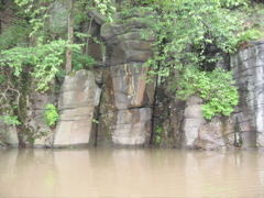 IMG_2351.JPG