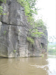 IMG_2353.JPG