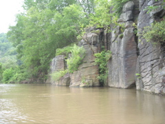IMG_2354.JPG