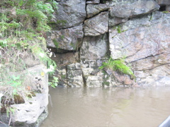 IMG_2355.JPG