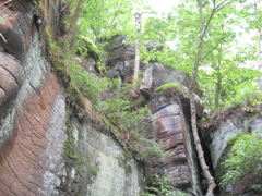 IMG_2356.JPG