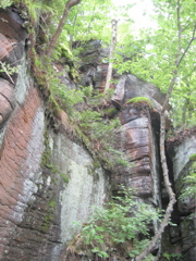 IMG_2357.JPG
