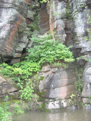 IMG_2360.JPG