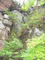 IMG_2361.JPG