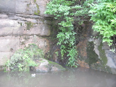 IMG_2362.JPG