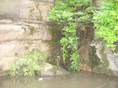 IMG_2363.JPG